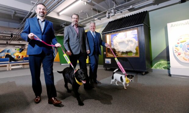 Aberdeen Airport's canine crew is one of the charities benefitting. Pictured: Bruce Watson, ABZ Propellor Fund chairmain, Bryan Snelling, Aberdeen Science Centre chief executive, and Mark Beveridge, Aberdeen International Airport operations director, with dogs Bella and Dorothy. Image: Darrell Benns/DC Thomson