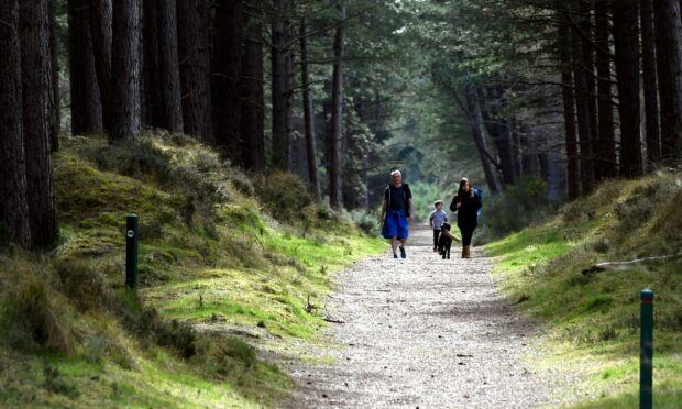 Dogwalkers in Roseisle Forest, located just south of Burghead. Image: Gordon Lennox/DC Thomson