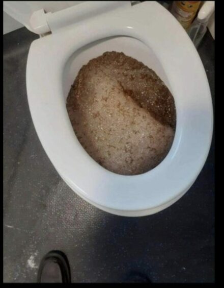 Sewage backs up into the toilet bowl
