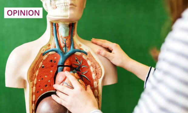 Educational models can only take medical students so far (Image: Abo Photography/Shutterstock)