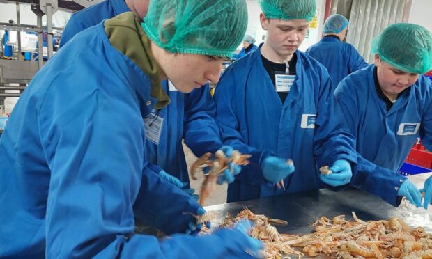 Pupils find out about seafood. Image: Jimmy Buchan