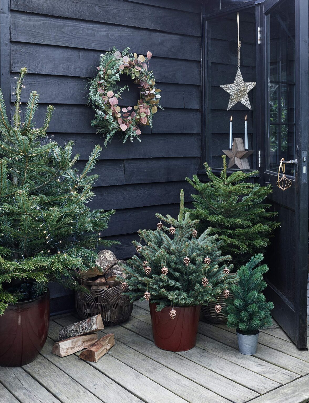 12 mustvisit Christmas garden centres in the north and northeast