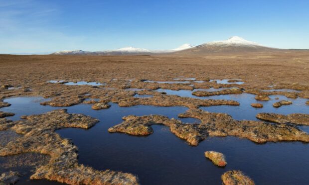 If successful, the Flow Country would be the first peatland site on the UNESCO list. Image: Flow Country Partnership
