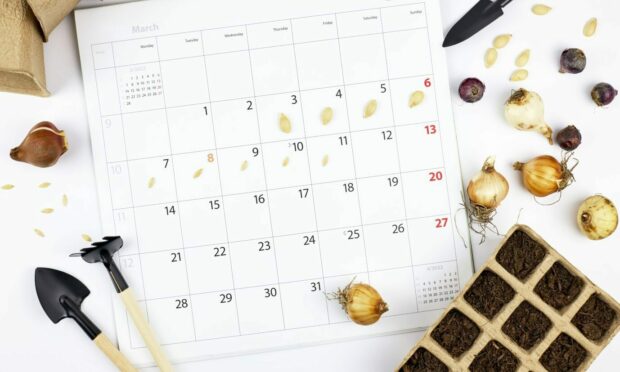 It's time to plan your gardening year ahead.