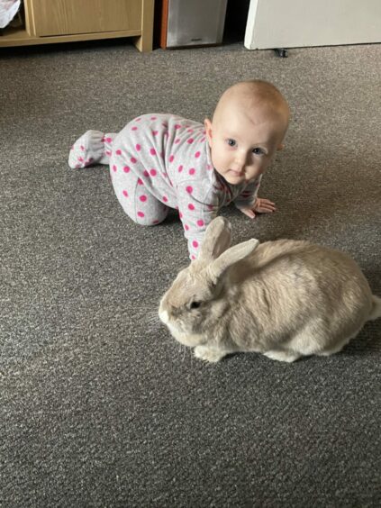 There is almost too much adorability to cope with in Gemma Scott’s Dundee home! Her rabbit Mae and daughter Katie both top the cuteness charts.