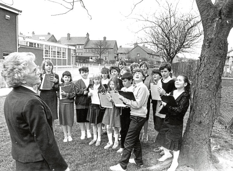 Children during an outdoor lesson learning about trees