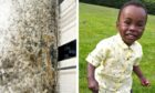 Mould and toddler who died because of inhaling it at their flat in Rochdale