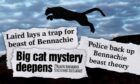 The leaping silhouette of a big cat with newspaper headline clippings speaking on beast of Bennachie and big cat sightings.