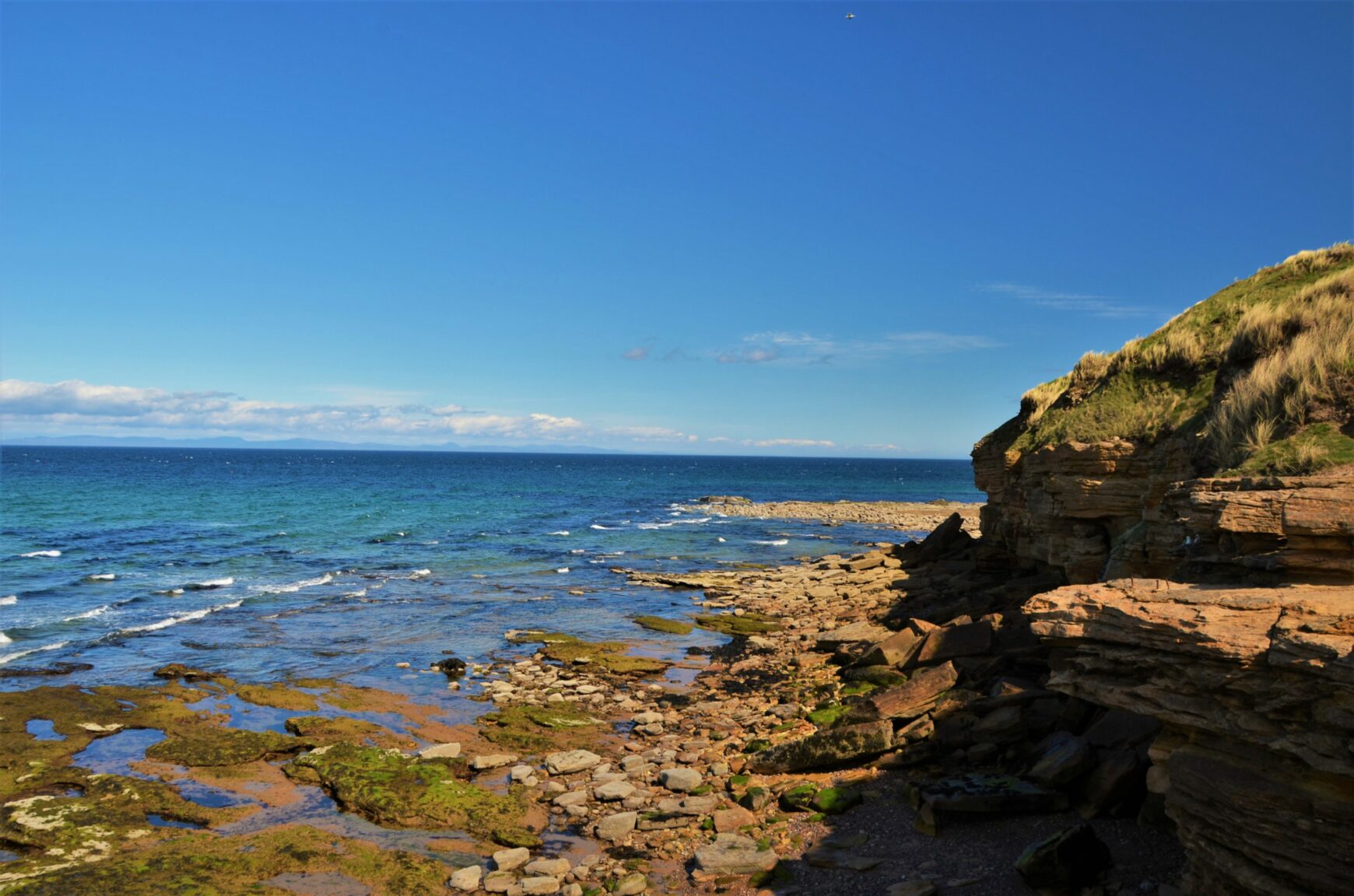 12 of the best birdwatching spots from Duthie Park to Spey Bay