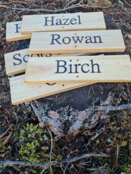 Cairngorm Bothies trees signs