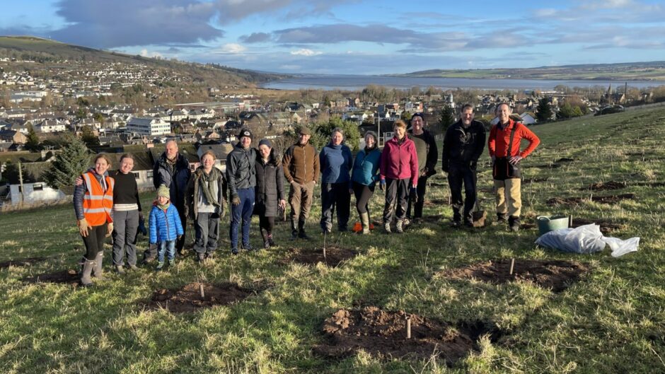 First of 7,000 trees planted for Dingwall community woodland