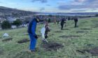 Volunteers with the Dingwall Community Woodland group have planted the first of 7,000 trees planned to overlook the Highland town. Image:  Forestry Scotland.