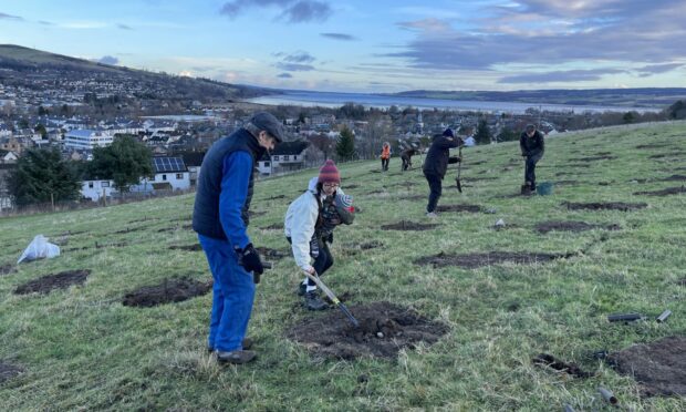 Volunteers with the Dingwall Community Woodland group have planted the first of 7,000 trees planned to overlook the Highland town. Image:  Forestry Scotland.