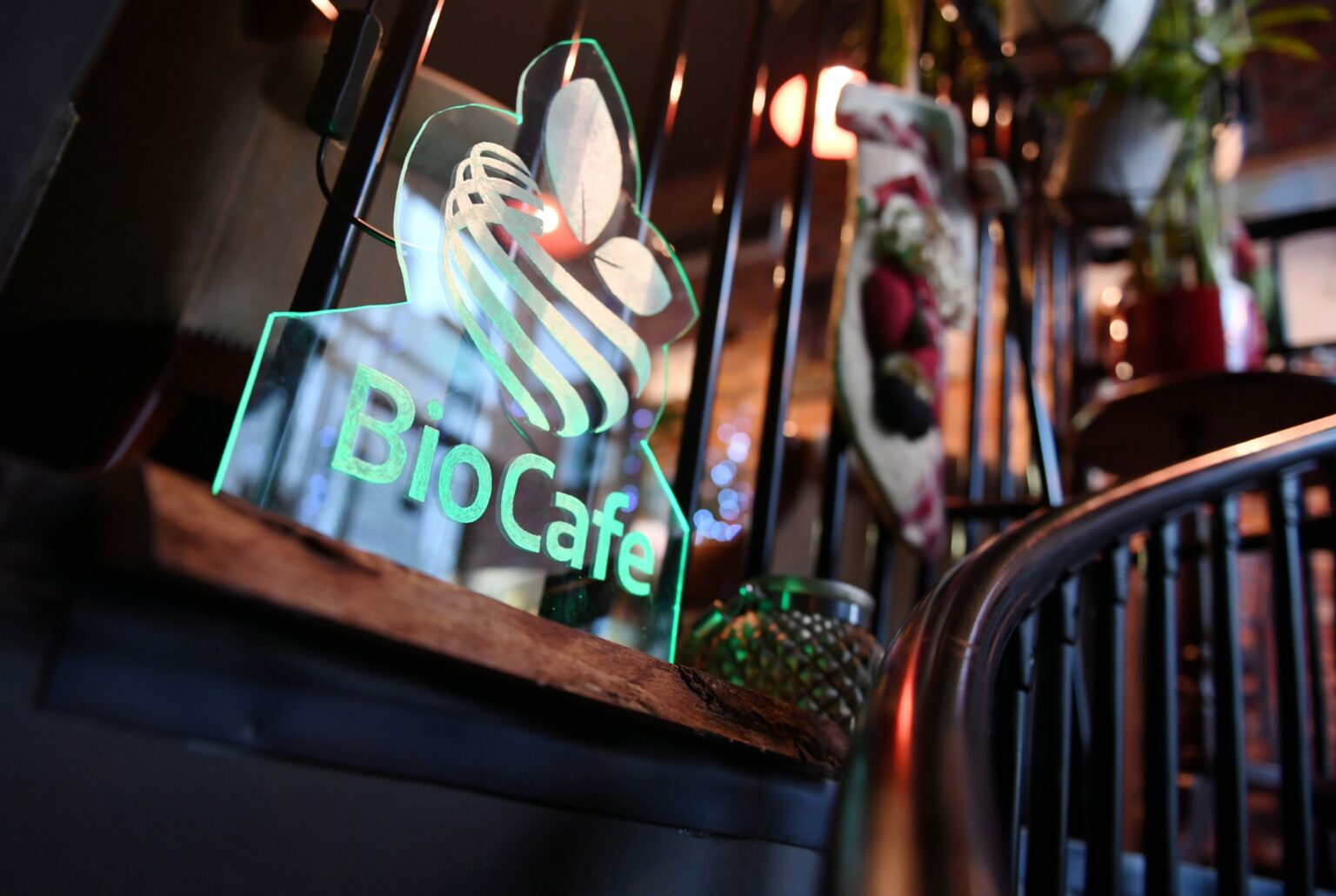 Bonobo Cafe and the battle between 'plantbased' and 'vegan'