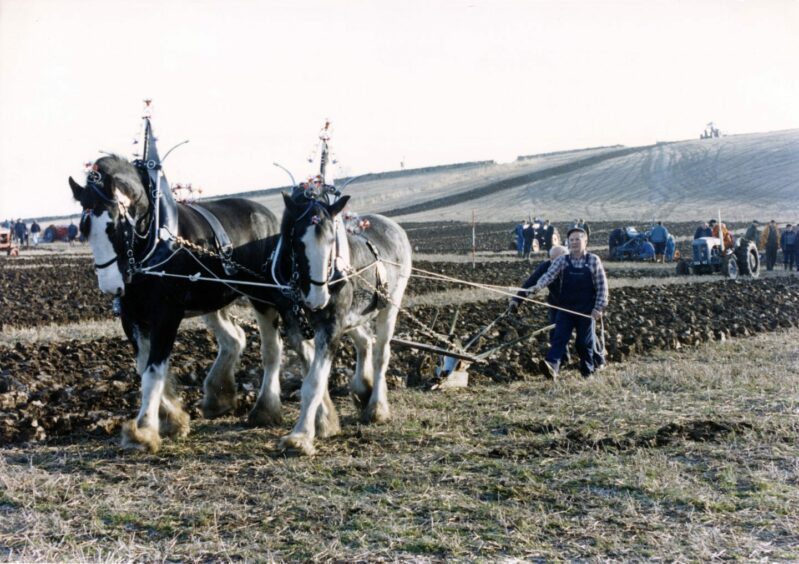 Ploughing the fields in 1993