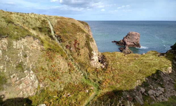 A flight of steps at Longhaven Cliffs ha been replaced. Image: Scottish Wildlife Trust