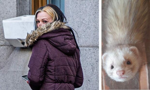 Natasha Beattie and the ferret that attacked the child. Image: Wullie Marr / DCT Media / Facebook