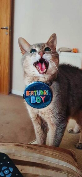 It’s my birthday and I’ll meow if I want to! Loren Nicol from Oldmeldrum wants to wish Casper a happy 19th birthday.