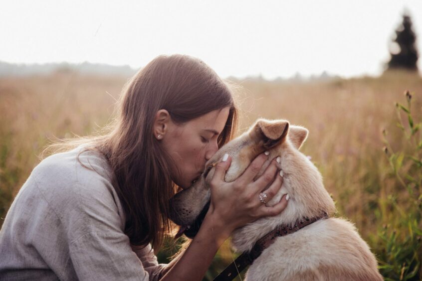 As a nation of dog lovers, do we need to face up to some hard truths? Picture supplied by Shutterstock.