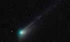 The green comet pictured passing Earth. Image: Shutterstock.