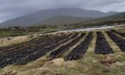 Peat has always been a traditional fuel in the Outer Hebrides, but has become less widely used in recent years. Photo: Anne MacLellan
