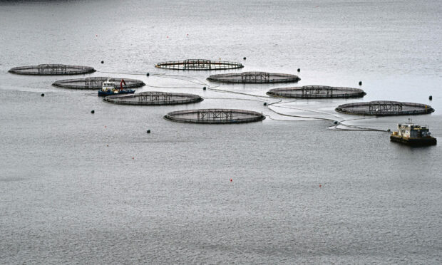 Salmon farming has proved to be a controversial topic in the letters pages.