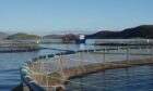 Aquaculture in Shetland. Shetland. Image: UHI Shetland