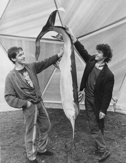 1986 - Students Graeme Hutton, left, and Bennet Humphries with their artistic creation, which was to be part of the decor at the Arts Ball.