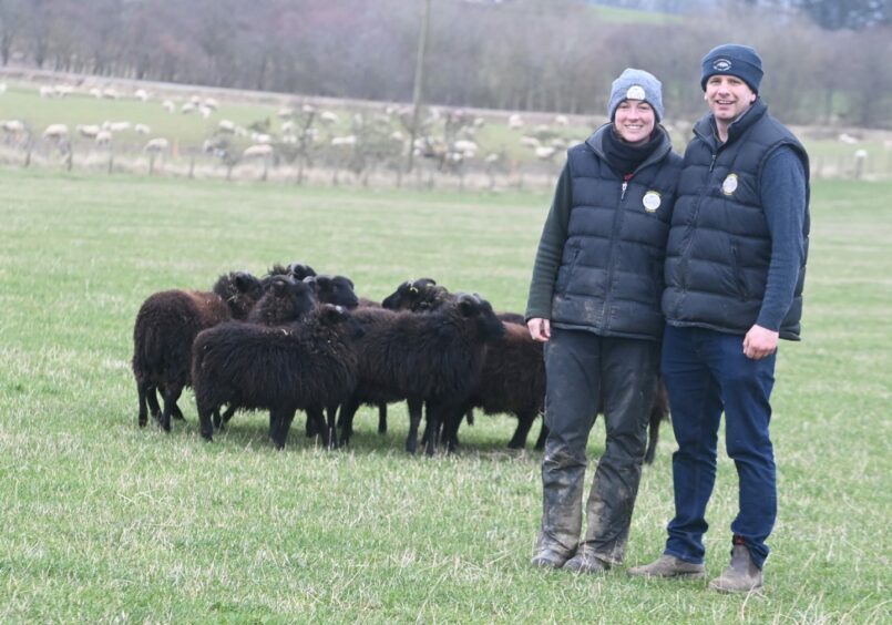 Gary and Michelle Bruce of Aberdeenshire sheepdogs, standing in hats and gilets in front a small number of sheep. 