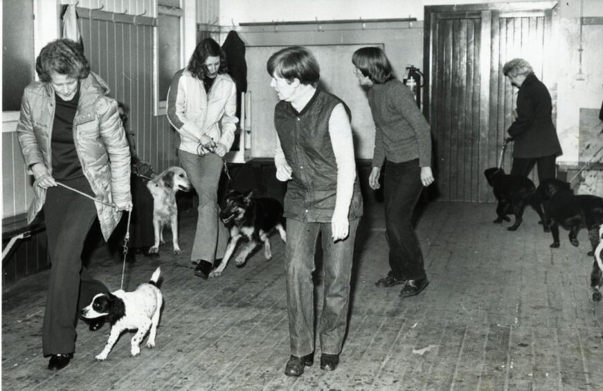 1980 - Dog trainers encourage owners as they parade round the Inverdee pavilion at a session in February 1980.