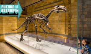 The Natural History Museum won't be coming to Aberdeen after all