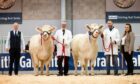 The champion and reserve Charolais females from Maerdy and Allanfauld.