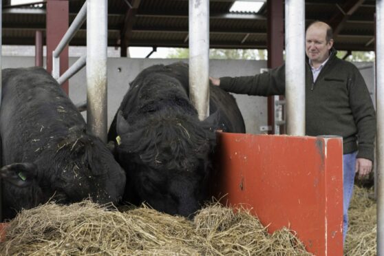 Finlay Munro from Balaldie near Tain will serve as president of the Aberdeen-Angus Cattle Society for one year.