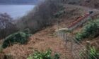 New fencing along the West Highland Line will keep livestock off the tracks. Image: Network Rail.