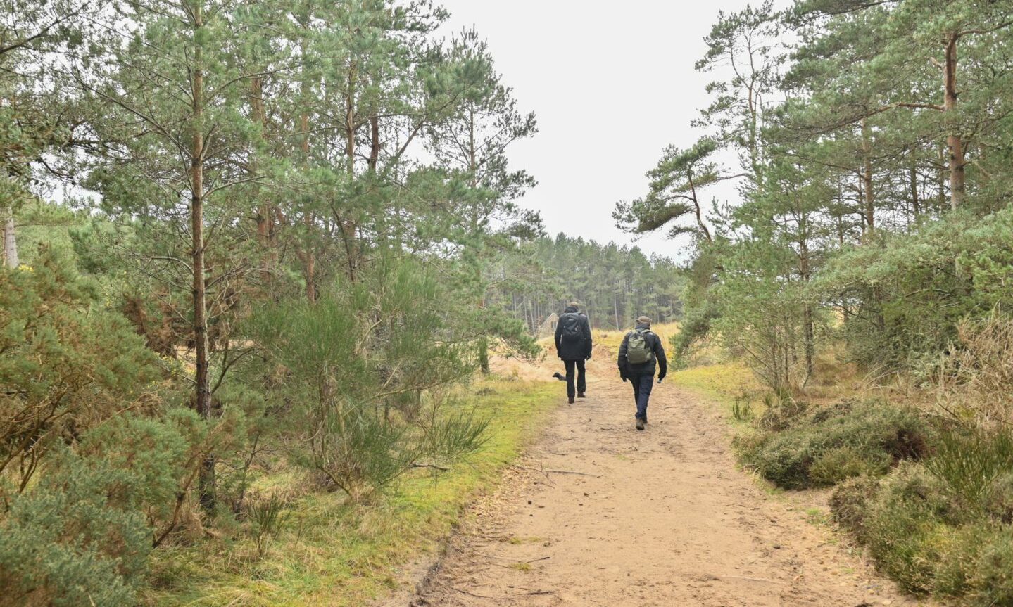 Two people viewed from rear walking through woodland path. 