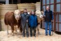 TAKING STOCK: Douglas, Morag and Gerald Smith with two of their five bulls heading to Stirling Bull Sales. Pictures by Kath Flannery.