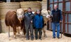 TAKING STOCK: Douglas, Morag and Gerald Smith with two of their five bulls heading to Stirling Bull Sales. Pictures by Kath Flannery.