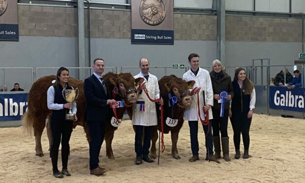 SUPREME WINNERS: Mike and Lisa Massie win the champion and reserve honours in the Limousins at Stirling Bull Sales.