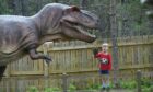 Alfie Sanderson meeting the dinos. Image: Sandy McCook / DC Thomson