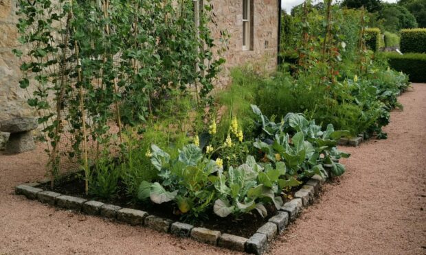 Potager garden with fruit, vegetables and flowers.