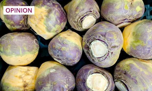 If you liked cucumber and tomatoes, you'll love turnip, apparently (Image: Eddie Jordan Photos/Shutterstock)