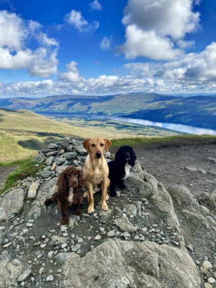 Gus, Rab and Sam are on top of the world at Meall nan Tarmachan in the Lawers range. The terrific trio travelled from Fife with Stephanie Taylor to take their good looks to new heights.