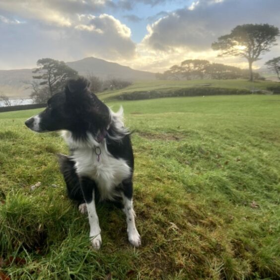 Kobi seems to have more important things to do than pay attention as Helen from Uig takes her photo! Even if she isn’t looking, the lovely lass makes picturesque Portree even more stunning.