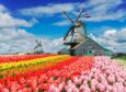 Keukenhof is a feast of colours and aromas. Images: Shutterstock.