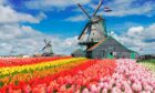 Keukenhof is a feast of colours and aromas. Images: Shutterstock.