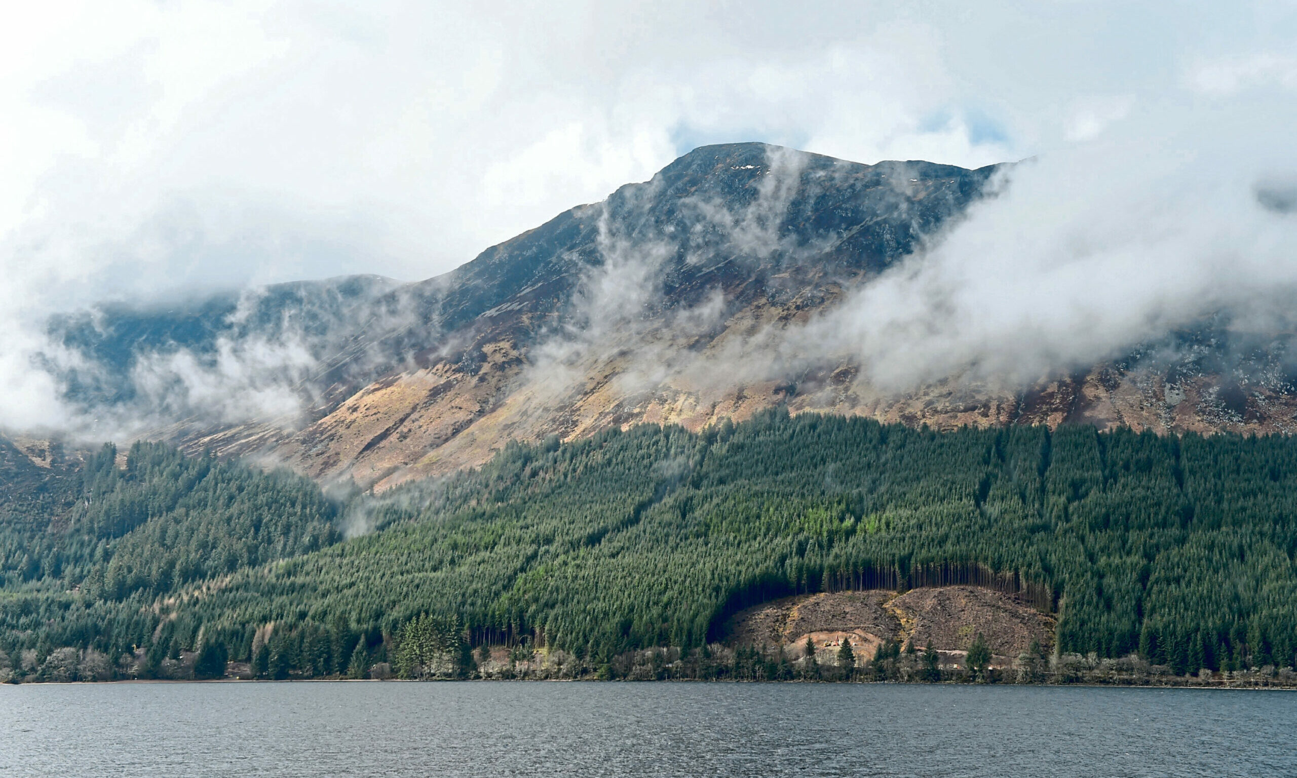 Readers' letters: Renewable energy, capercaillie and the clock change - Vimarsana News
