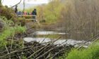 Beaver activity to demonstrate why beaver dams are good for the environment