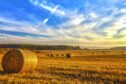 A Scottish farmer's field