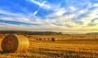 A Scottish farmer's field