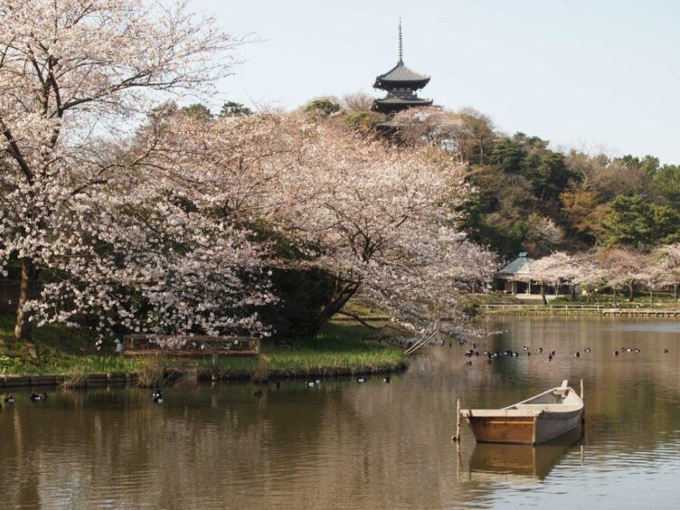 Sankeien Garden is a spacious Japanese-style garden with a pond, walking trails and cherry trees